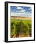 Washington State, Mattawa. Vineyard on the Wahluke Slope-Richard Duval-Framed Photographic Print