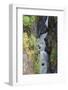 Washington State, Mount Rainier National Park. Cowlitz River in Box Canyon-Jamie & Judy Wild-Framed Photographic Print