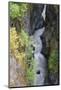 Washington State, Mount Rainier National Park. Cowlitz River in Box Canyon-Jamie & Judy Wild-Mounted Photographic Print