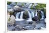 Washington State, Mount Rainier National Park, Edith Creek-Jamie & Judy Wild-Framed Photographic Print