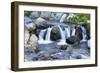 Washington State, Mount Rainier National Park, Edith Creek-Jamie & Judy Wild-Framed Photographic Print