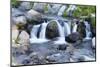 Washington State, Mount Rainier National Park, Edith Creek-Jamie & Judy Wild-Mounted Photographic Print