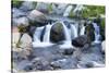 Washington State, Mount Rainier National Park, Edith Creek-Jamie & Judy Wild-Stretched Canvas