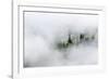 Washington State, Mount Rainier National Park. Fir trees in clouds-Jamie & Judy Wild-Framed Photographic Print