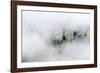 Washington State, Mount Rainier National Park. Fir trees in clouds-Jamie & Judy Wild-Framed Photographic Print