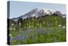 Washington State, Mount Rainier National Park, Mount Rainier and Wildflowers-Jamie & Judy Wild-Stretched Canvas