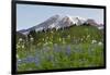 Washington State, Mount Rainier National Park, Mount Rainier and Wildflowers-Jamie & Judy Wild-Framed Photographic Print