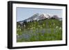 Washington State, Mount Rainier National Park, Mount Rainier and Wildflowers-Jamie & Judy Wild-Framed Photographic Print