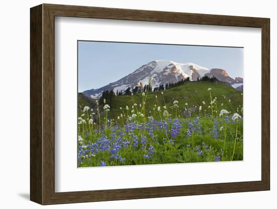 Washington State, Mount Rainier National Park, Mount Rainier and Wildflowers-Jamie & Judy Wild-Framed Photographic Print