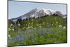 Washington State, Mount Rainier National Park, Mount Rainier and Wildflowers-Jamie & Judy Wild-Mounted Photographic Print