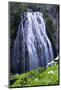 Washington State, Mount Rainier National Park. Narada Falls-Jamie & Judy Wild-Mounted Photographic Print