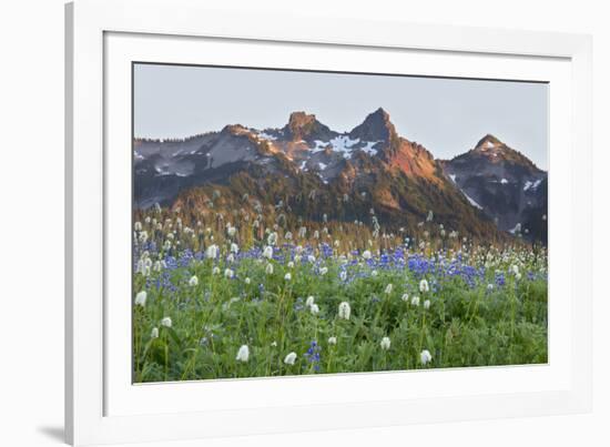 Washington State, Mount Rainier National Park, Tatoosh Range and Wildflowers-Jamie & Judy Wild-Framed Photographic Print