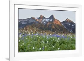 Washington State, Mount Rainier National Park, Tatoosh Range and Wildflowers-Jamie & Judy Wild-Framed Photographic Print