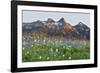 Washington State, Mount Rainier National Park, Tatoosh Range and Wildflowers-Jamie & Judy Wild-Framed Photographic Print