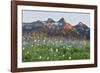 Washington State, Mount Rainier National Park, Tatoosh Range and Wildflowers-Jamie & Judy Wild-Framed Photographic Print