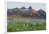 Washington State, Mount Rainier National Park, Tatoosh Range and Wildflowers-Jamie & Judy Wild-Framed Photographic Print