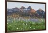 Washington State, Mount Rainier National Park, Tatoosh Range and Wildflowers-Jamie & Judy Wild-Framed Photographic Print