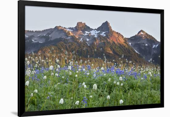 Washington State, Mount Rainier National Park, Tatoosh Range and Wildflowers-Jamie & Judy Wild-Framed Photographic Print