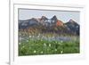 Washington State, Mount Rainier National Park, Tatoosh Range and Wildflowers-Jamie & Judy Wild-Framed Premium Photographic Print