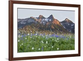 Washington State, Mount Rainier National Park, Tatoosh Range and Wildflowers-Jamie & Judy Wild-Framed Premium Photographic Print