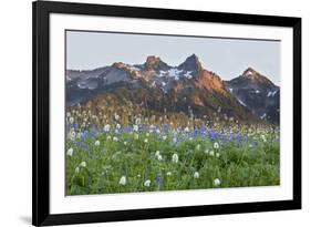 Washington State, Mount Rainier National Park, Tatoosh Range and Wildflowers-Jamie & Judy Wild-Framed Premium Photographic Print