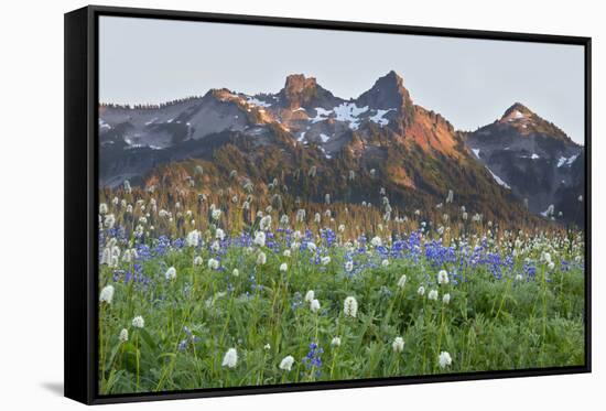 Washington State, Mount Rainier National Park, Tatoosh Range and Wildflowers-Jamie & Judy Wild-Framed Stretched Canvas