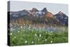 Washington State, Mount Rainier National Park, Tatoosh Range and Wildflowers-Jamie & Judy Wild-Stretched Canvas