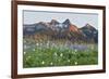 Washington State, Mount Rainier National Park, Tatoosh Range and Wildflowers-Jamie & Judy Wild-Framed Photographic Print