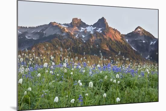 Washington State, Mount Rainier National Park, Tatoosh Range and Wildflowers-Jamie & Judy Wild-Mounted Photographic Print