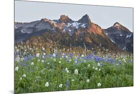 Washington State, Mount Rainier National Park, Tatoosh Range and Wildflowers-Jamie & Judy Wild-Mounted Photographic Print