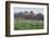 Washington State, Mount Rainier National Park, Tatoosh Range and Wildflowers-Jamie & Judy Wild-Framed Photographic Print