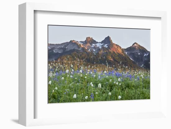 Washington State, Mount Rainier National Park, Tatoosh Range and Wildflowers-Jamie & Judy Wild-Framed Photographic Print