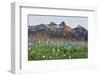 Washington State, Mount Rainier National Park, Tatoosh Range and Wildflowers-Jamie & Judy Wild-Framed Photographic Print