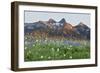 Washington State, Mount Rainier National Park, Tatoosh Range and Wildflowers-Jamie & Judy Wild-Framed Photographic Print