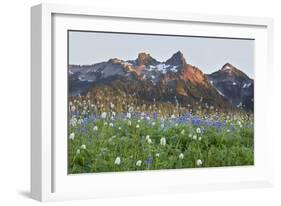 Washington State, Mount Rainier National Park, Tatoosh Range and Wildflowers-Jamie & Judy Wild-Framed Photographic Print