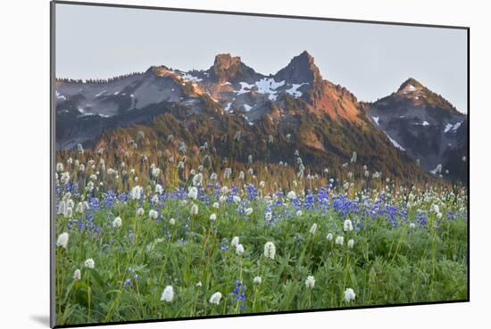 Washington State, Mount Rainier National Park, Tatoosh Range and Wildflowers-Jamie & Judy Wild-Mounted Photographic Print