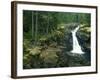 Washington State, Mt. Rainier National Park. Silver Falls Scenic-Jaynes Gallery-Framed Photographic Print