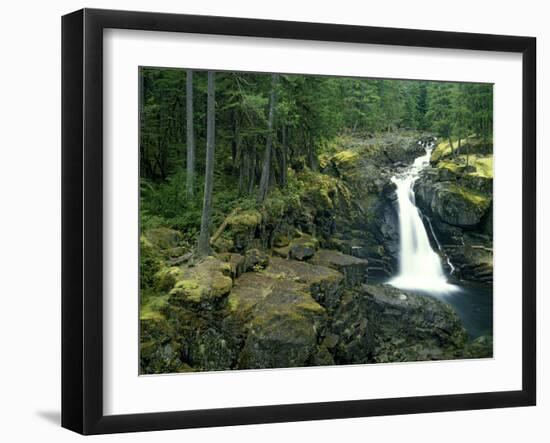 Washington State, Mt. Rainier National Park. Silver Falls Scenic-Jaynes Gallery-Framed Photographic Print