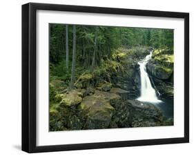 Washington State, Mt. Rainier National Park. Silver Falls Scenic-Jaynes Gallery-Framed Photographic Print
