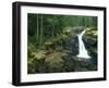 Washington State, Mt. Rainier National Park. Silver Falls Scenic-Jaynes Gallery-Framed Photographic Print