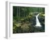 Washington State, Mt. Rainier National Park. Silver Falls Scenic-Jaynes Gallery-Framed Photographic Print