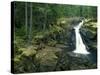 Washington State, Mt. Rainier National Park. Silver Falls Scenic-Jaynes Gallery-Stretched Canvas