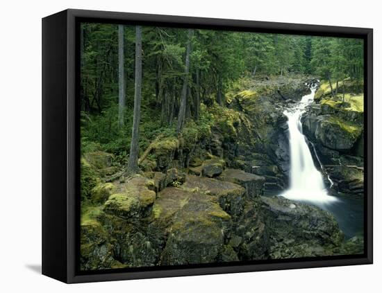 Washington State, Mt. Rainier National Park. Silver Falls Scenic-Jaynes Gallery-Framed Stretched Canvas