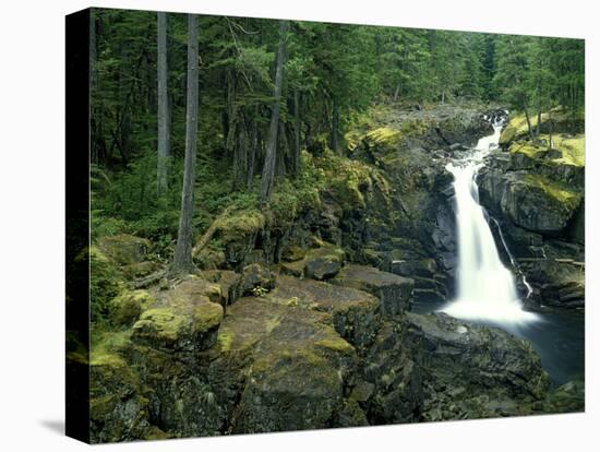 Washington State, Mt. Rainier National Park. Silver Falls Scenic-Jaynes Gallery-Stretched Canvas