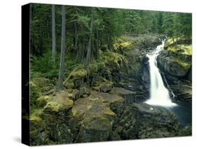 Washington State, Mt. Rainier National Park. Silver Falls Scenic-Jaynes Gallery-Stretched Canvas