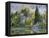 Washington State, North Cascades, Alpine Pond with Larch and Fir trees-Jamie & Judy Wild-Framed Stretched Canvas