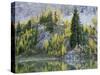 Washington State, North Cascades, Alpine Pond with Larch and Fir trees-Jamie & Judy Wild-Stretched Canvas