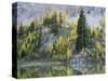 Washington State, North Cascades, Alpine Pond with Larch and Fir trees-Jamie & Judy Wild-Stretched Canvas