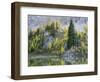 Washington State, North Cascades, Alpine Pond with Larch and Fir trees-Jamie & Judy Wild-Framed Photographic Print