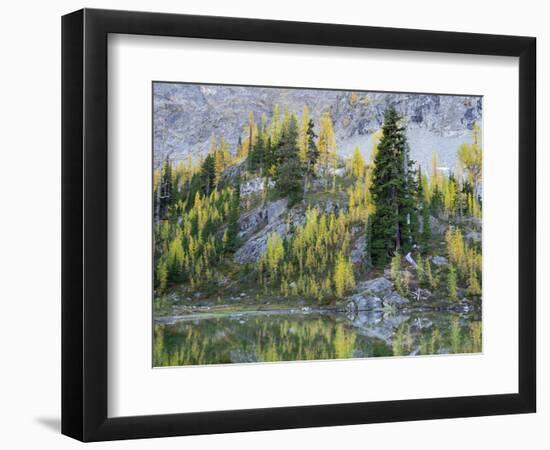 Washington State, North Cascades, Alpine Pond with Larch and Fir trees-Jamie & Judy Wild-Framed Photographic Print